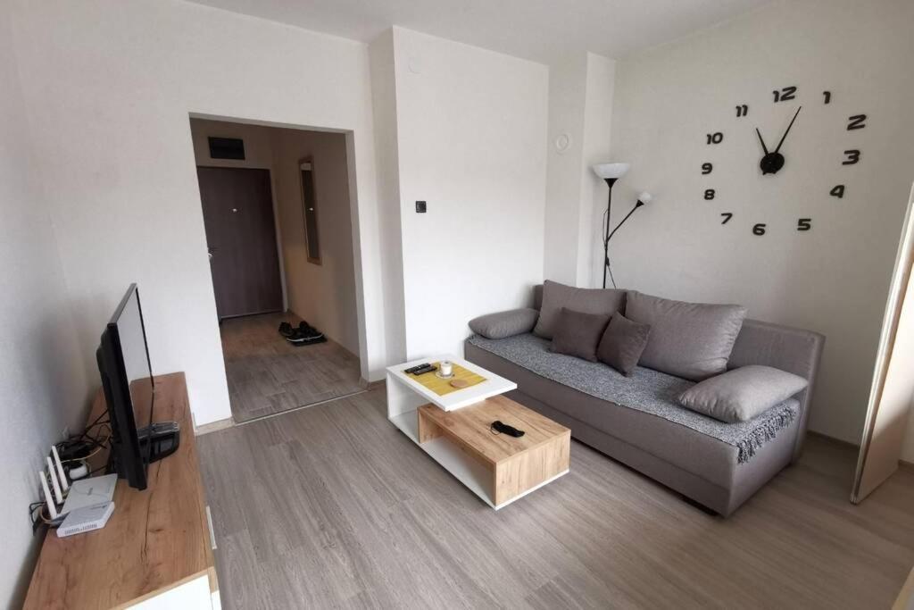 Apartment Rajic Golubac Luaran gambar