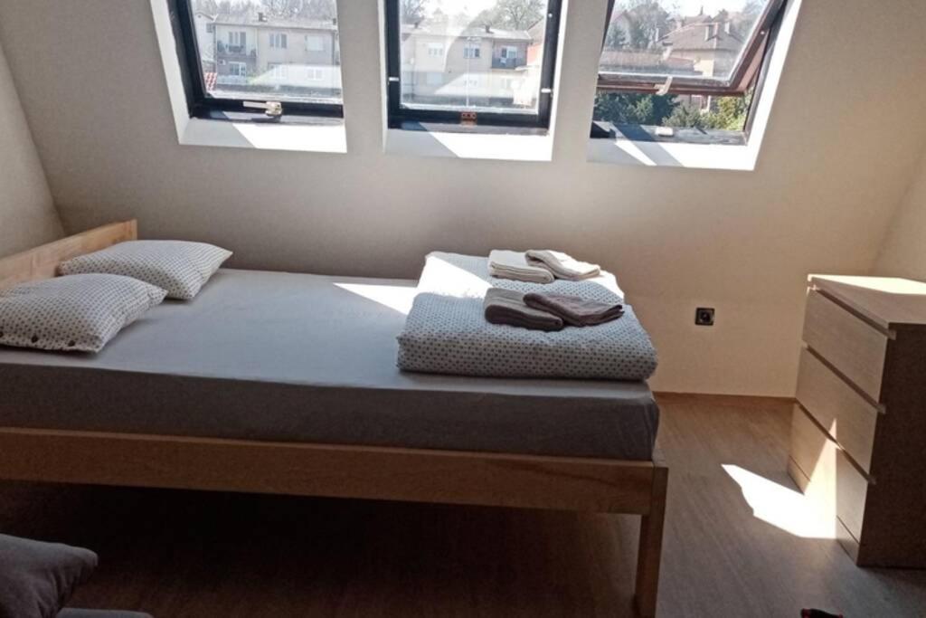 Apartment Rajic Golubac Luaran gambar