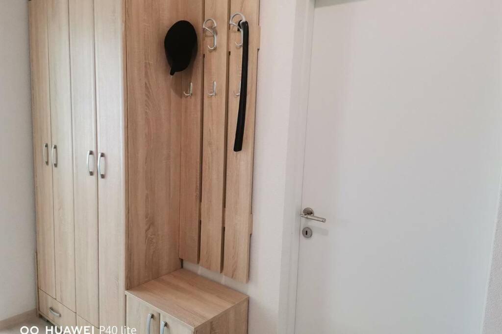 Apartment Rajic Golubac Luaran gambar