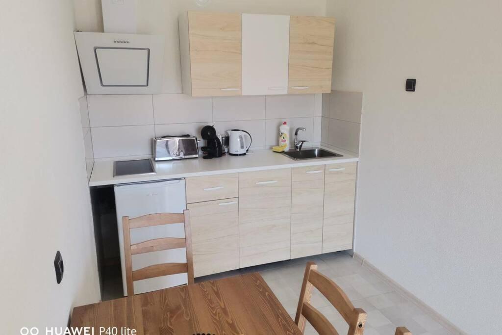 Apartment Rajic Golubac Luaran gambar